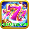 Dream17 Legend Gaming App