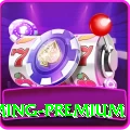 mwin Gaming Premium